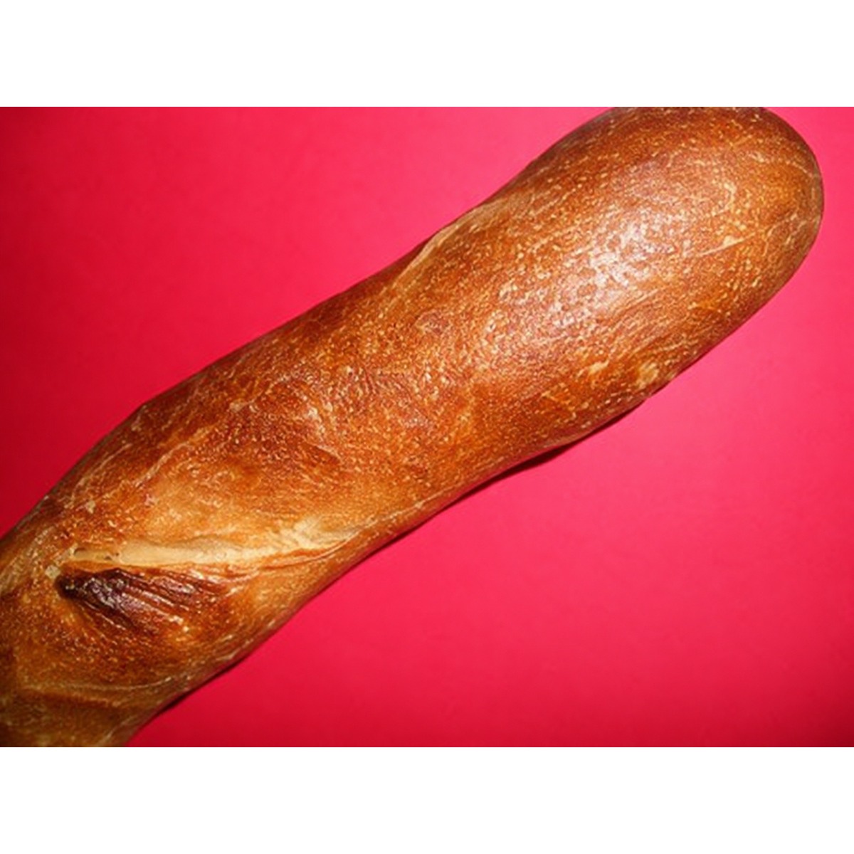 Artikel Bild